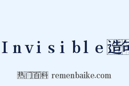Invisible造句是什么意思的图片